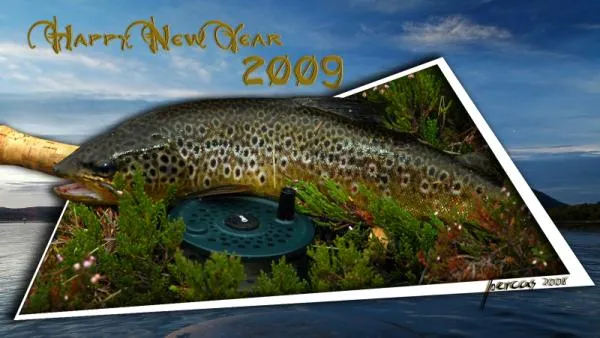 User submitted picture: Happy New Year